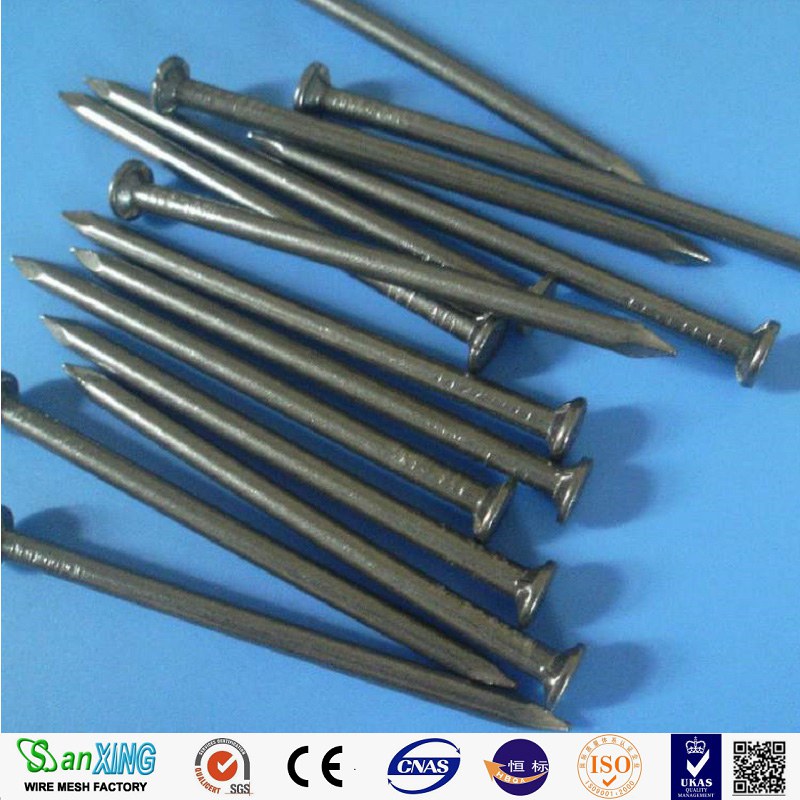 Sanxing Superior Quality Common Nails