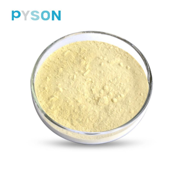 ginsenosides≥20.0% Red Ginseng Extract Powder