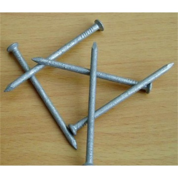 Galvanized/ Polished common nails