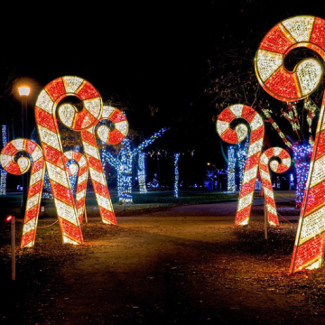 Waterproof Rust-Proof 3D Candy Cane Christmas Lights for Outdoor Hanging Wall Window Decoration