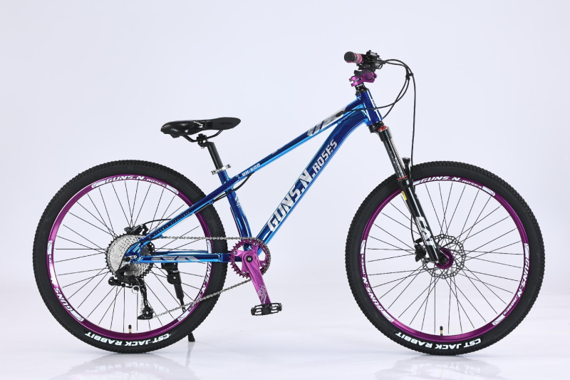 Premium Dirt Jump Bikes for Extreme Sports Enthusiasts