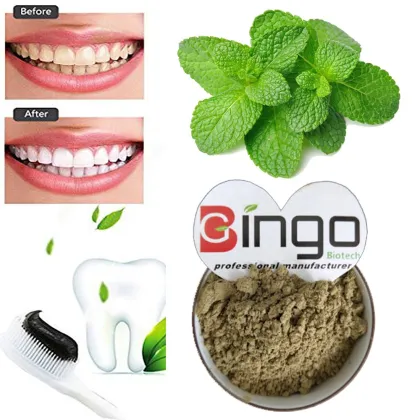 2021 Peppermint Tea Powder Herba Menthae Extract Powder