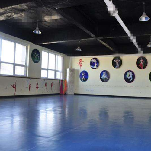 Indoor Professional PVC Synthetic Dance Room Flooring