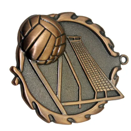 national medal volley medal for sports