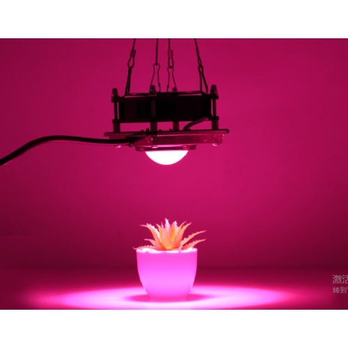 Medical Hydroponic Greenhouse COB LED Diy 200w