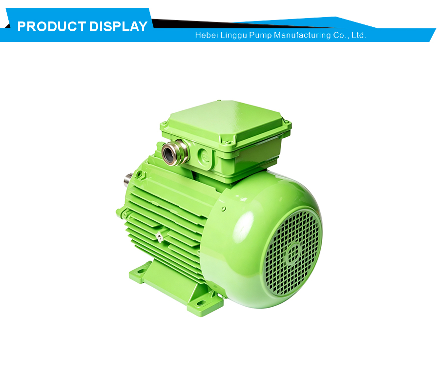 IE3 high efficiency motor