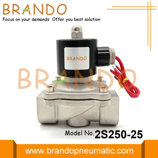 2S250-25 Stainless Steel Solenoid Valve 1'' 24V 220V
