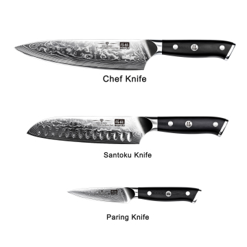 SHAN ZU 3-Piece High-Quality Japanese Kitchen Knife Set: 67-Layer Damascus Steel with G10 Handles for Chef's Santoku and Paring Tasks