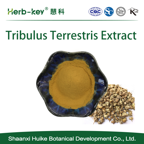 Tribulus terrestris экстракт 100 органический чистый натуральный