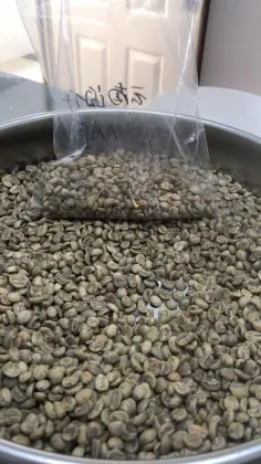 Pure Total Chlorogenic Acid Green Coffee Bean Extract