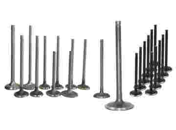 High-Performance Intake Valve