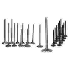 Высокий впускной клапан 0948.84