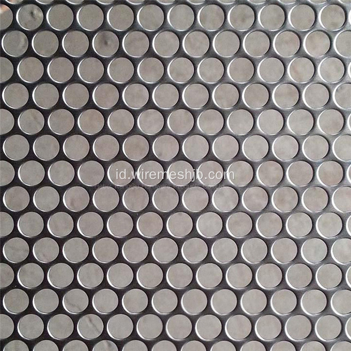 Stainless Steel Perforated Metal Mesh