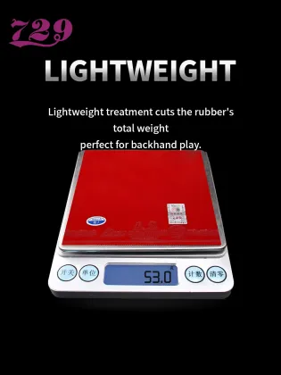 Friendship 729 Sky Wing Inverted Rubber Table Tennis