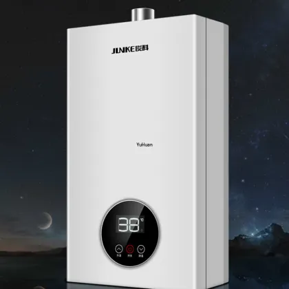 Household Water Heater Strong Exhaust Gas Water Heater Natural Gas Intelligent Constant Gas Liquefied 12 L Water Heater
