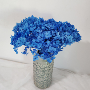 Yunnan Multi-Color Anna Hydrangea Flowers - 40cm Single Long Stem Preserved Plants