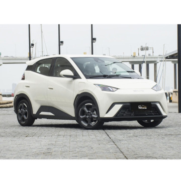 2024 BYD Seagull Electric Car: 405km Range Vigorous Edition