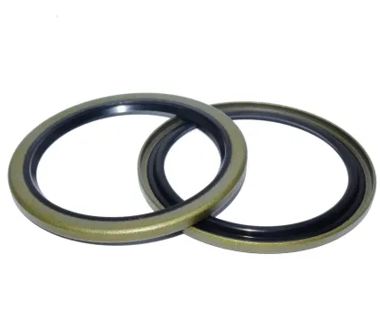 OEM Number Seals VB VAY DKC Type from DMHUI Seal Factory