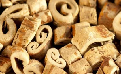 Herb Mori Cortex White Mulberry Root bark Sangbaipi