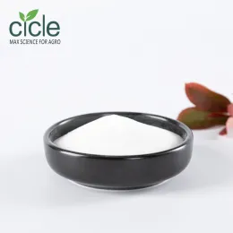 Gibberellic Acid GA3 90% TC