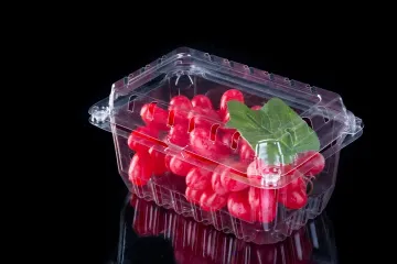 Blister Plastic Fruit Salad Box Packaging