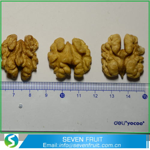 ISO HACCP SGS Certification Walnuts For Sale