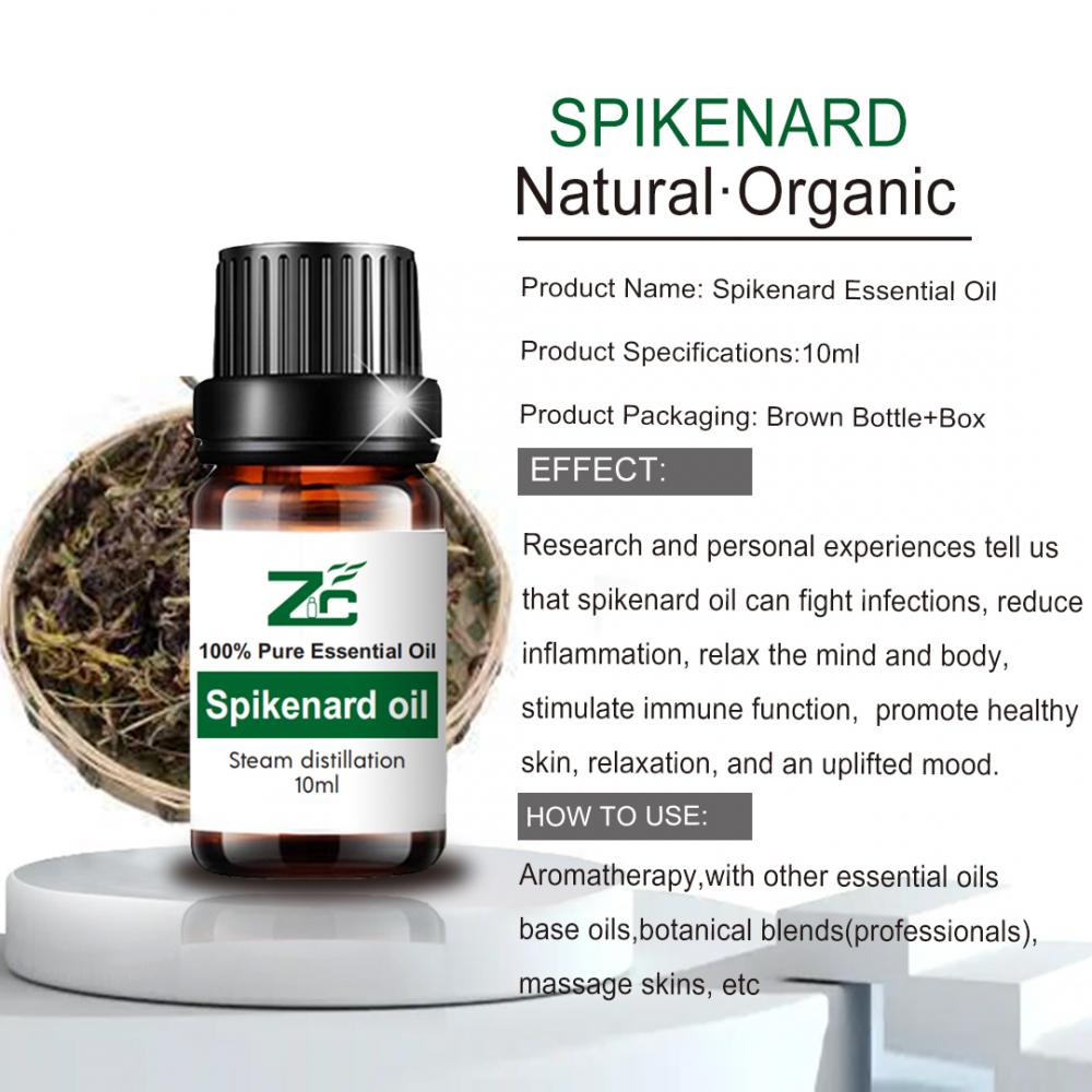 Aromaterapia de aceite esencial de Spikenard Spikenard