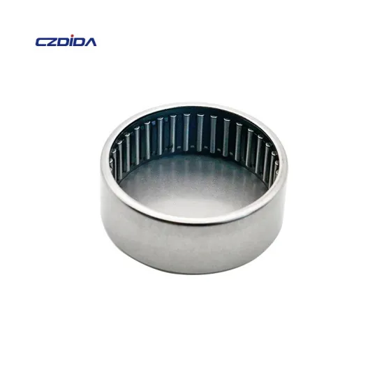 BK152116RS BK1516: 15x21x16mm Drawn Cup Needle Roller Bearing for Electrical Machinery