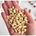 Delicious 500g Pine Nut
