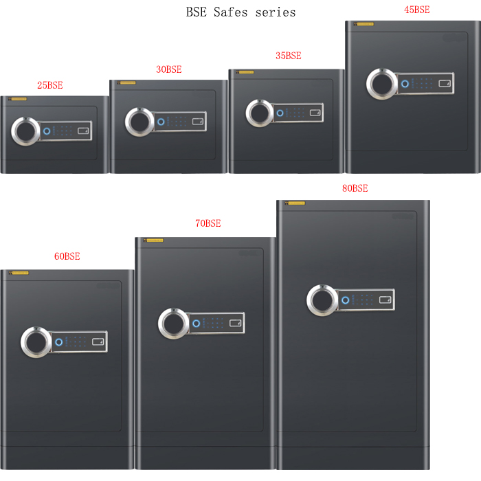 Série BSE Saferes