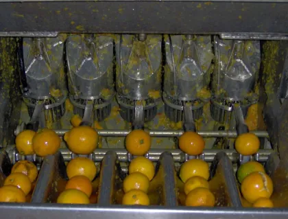 Industrial Fruit Crusher Manufactured In shanghai GOFUN