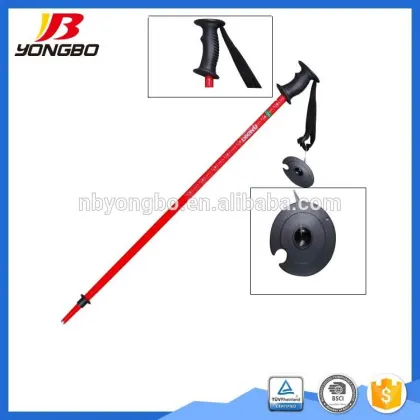 Carbon fiber odm alpine winter sports custom longth cheap ski pole alpine touring skis