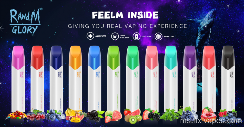 Randm Glory 4800 Vape Pod Pucuk