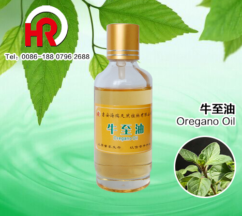 100% pure natural wild oregano oil