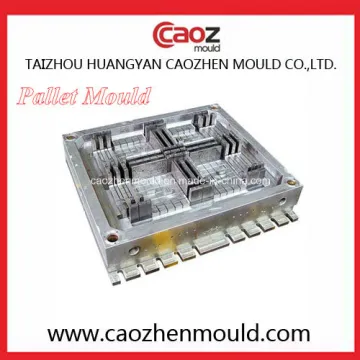 Double Layer Plastic Pallet Injection Mold in China