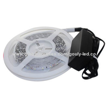 LED Rope Light with 60 Pieces of 3528 SMD LEDs/Meter, 36W/12V Power Supply