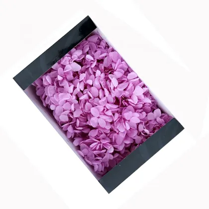 Kunming Fresh Cut Preserved Bicolor Hydrangea Flowers