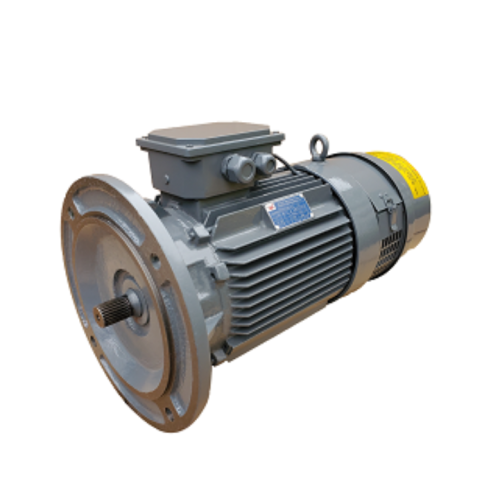 ট্রলির জন্য টাওয়ার ক্রেন ইন্ডাকশন মোটর