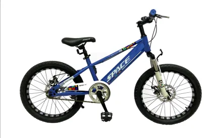 TW-46 Boys Children Bike