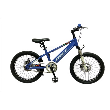 TW-46-1 Steel Boys Children Bike