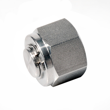 SS316 Stainless Steel Double Ferrules Tube Plug Hex Pipe Plugs