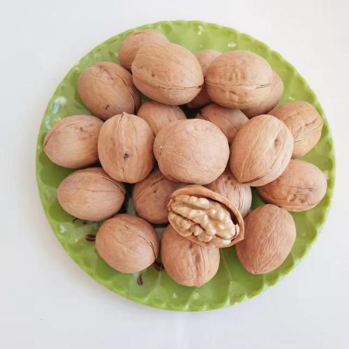 Walnut Wholesale Price Xinjiang Aksu Walnuts Thin Shell Walnuts