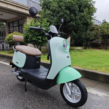 Best 800w-1000W Electric Mobility: Adult Electric Scooters and Bicycles