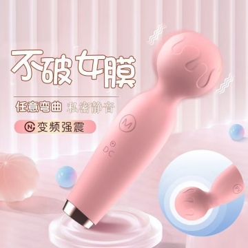 Vibrator series small microphone rechargeable version