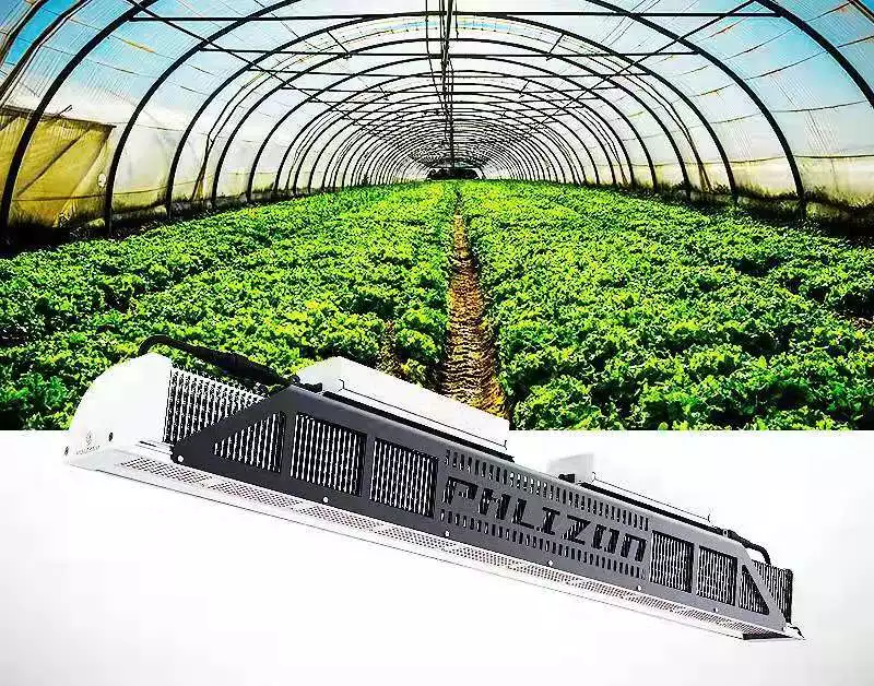 New Style Fluence IP65 LED Grow Light