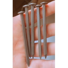 Rose Head Square Cut Nails