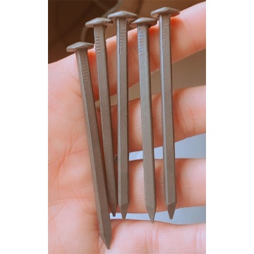 Rose Head Square Cut Nails