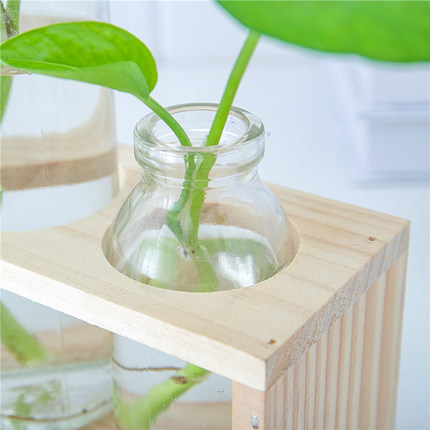 Hydroponic small vase creative glass green radish transparent small fresh water plant desktop decoration ornaments living room f