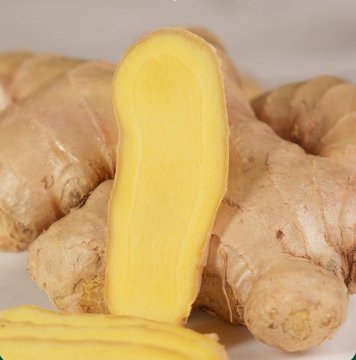 Best Price Air Dired Washed Fresh Ginger Root