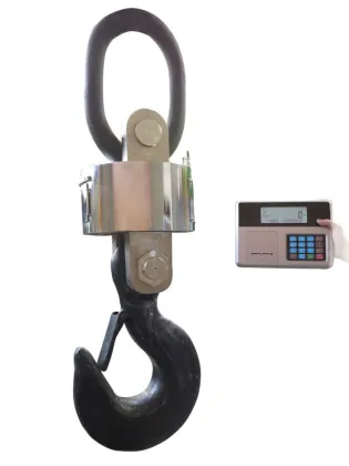 Award-winning Large Capacity Crane Scale